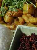 แกงกะหรี่ไก่ สไตล์ญี่ปุ่น Curry with Chicken Japanese style