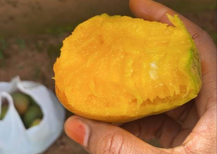 Easiest Way to Prepare Favorite Mango