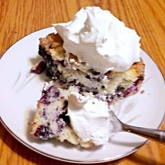 A picture of Blue berry pie 🥧.