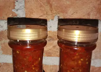 Masakan Unik Sambal Terasi Praktis Enak