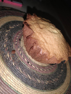 A picture of Vanilla cupcake.