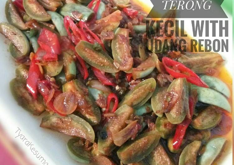 Oseng terong kecil with udang rebon/undang papai