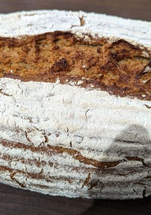 Roggenbrot Rezepthauptbild
