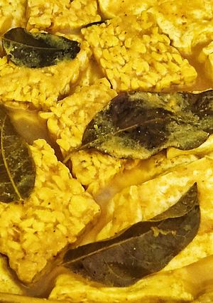 Foto resep Tempe Tahu Ungkep (Bumbu Kuning)