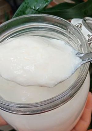 Foto resep Yogurt