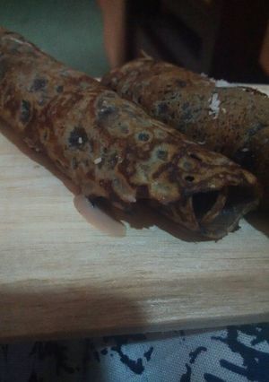 Foto resep Oreo cake roll