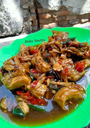 Foto resep Ayam kecap versi diet