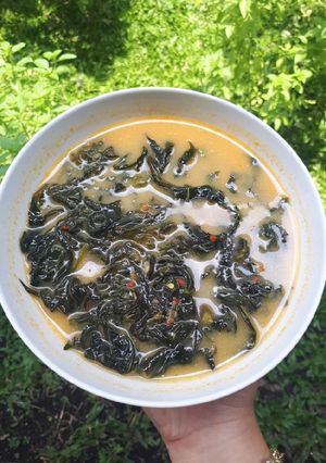Foto resep Gulai Daun Pepaya