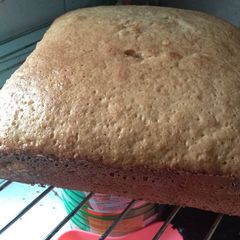A picture of Condensed milk cake.