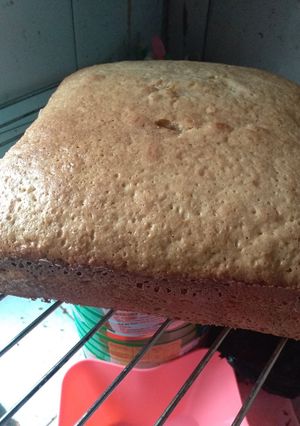 A picture of Condensed milk cake.
