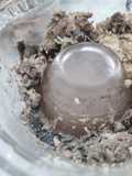 Chicken Essence (murni tanpa air)