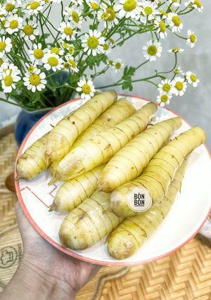 Hình của món Củ Bình Tinh Luộc.
