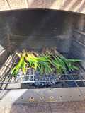 Calçots