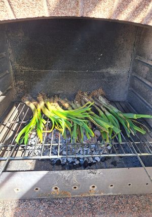 Foto principal de Calçots