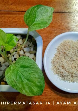 Foto resep Ayam Apong