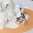 Albóndigas con dos salsas