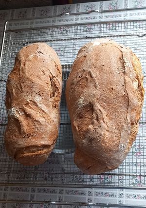 2049.Egyszerű teljeskiörlésű kenyerke😋 recept fotója