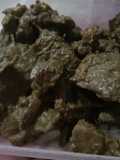 Terik daging sapi / bacem