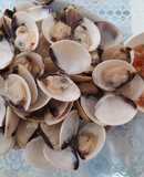 Nghêu hấp sả gừng