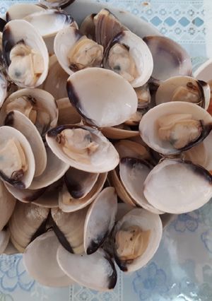 Hình của món Nghêu hấp sả gừng.