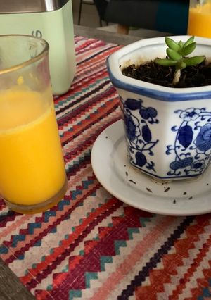 Foto resep Jus nutrisari