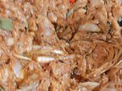 Gambar rendang lokan padang