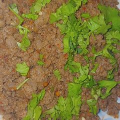 A picture of Glawati Kabab.