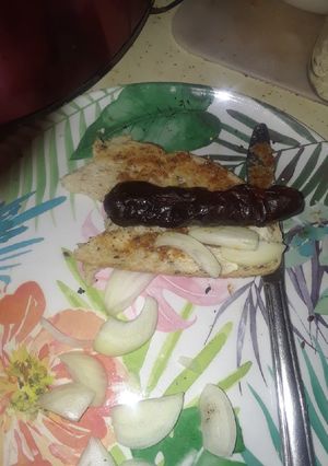 A picture of Special Hot Dog.