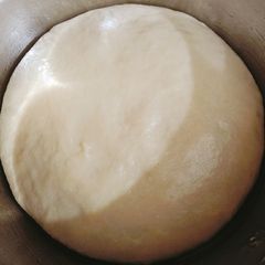 A picture of Donuts Dough 🍩🥯🍩.