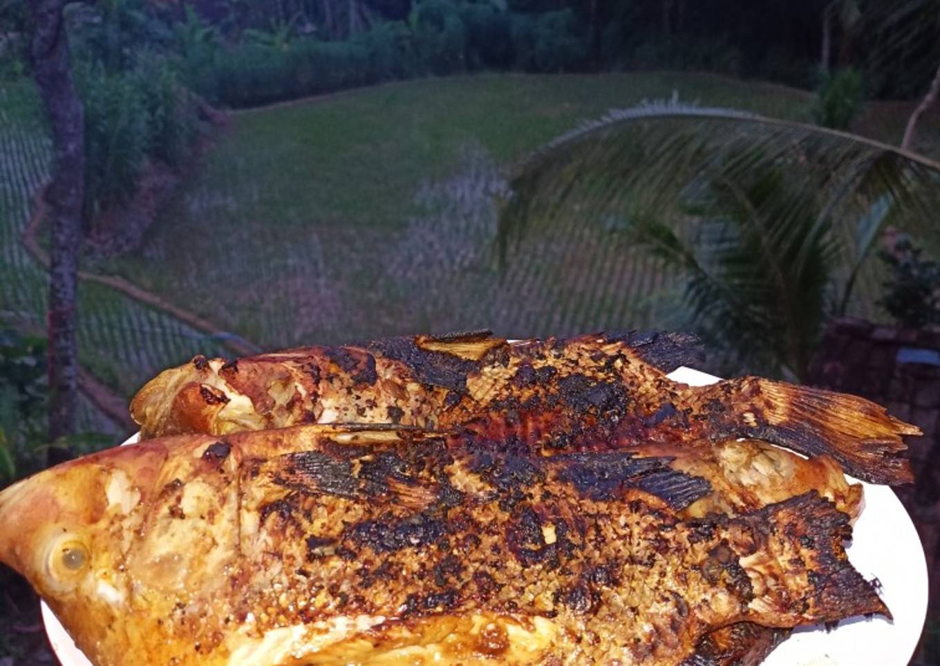 Mujair Bakar bumbu jahe