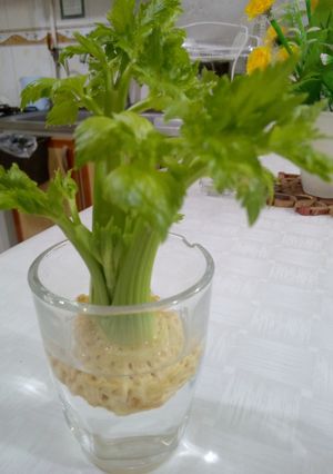عکسی از دستور روز چهاردهم چالش