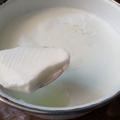A picture of Homemade Dahi (Yoghurt).