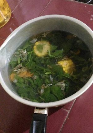 Foto resep Sayur bayam seger #no msg