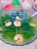 Canh rau mồng tơi nấu tôm