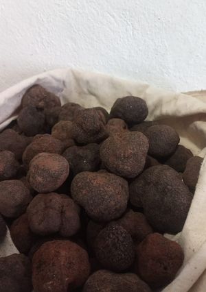Una foto de Conservación de trufas frescas