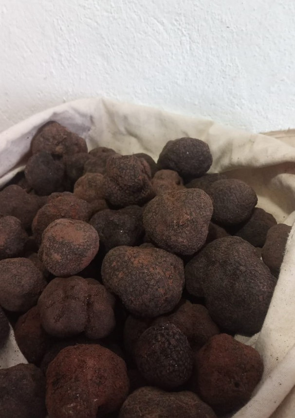 Una foto de Conservación de trufas frescas
