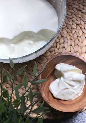 صورة لوصفة الزبادي {الروب} المنزلي