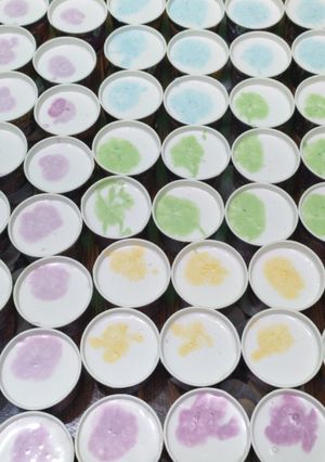 Foto resep Es Krim Homemade