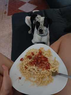 Una foto de Salsa de queso para pasta fácil
