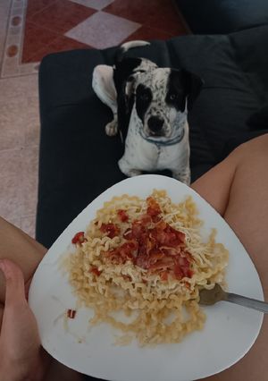 Una foto de Salsa de queso para pasta fácil