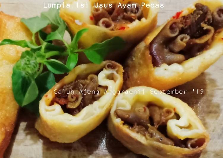 Bahan Lumpia isi usus ayam pedas | Cara Bikin Lumpia isi usus ayam pedas Yang Sedap