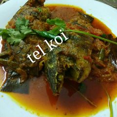 A picture of Tel koi.