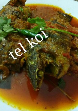 A picture of Tel koi.