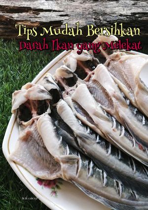 Gambar Tips Mudah Bersihkan Darah ikan yang Melekat