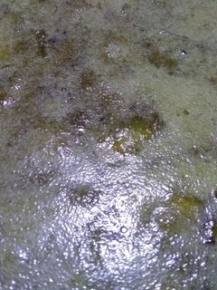 কাঁচা আমের চাটনি রেসিপির প্রধান ছবি