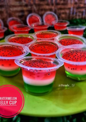 Foto resep 125. Watermelon Jelly Cup (Puding Semangka)