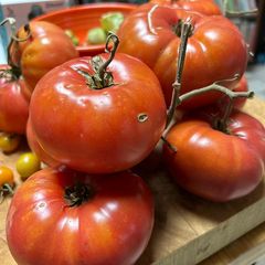 A picture of Tomato Sauce.