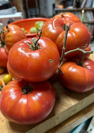 A picture of Tomato Sauce.