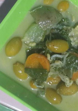 Foto resep Sayur lodeh lezatos