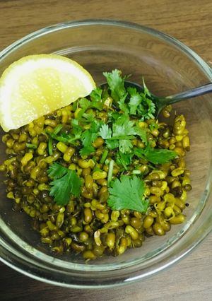 A picture of Usal (Sprouted beans).
